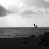 Mauritius 2007 - 571